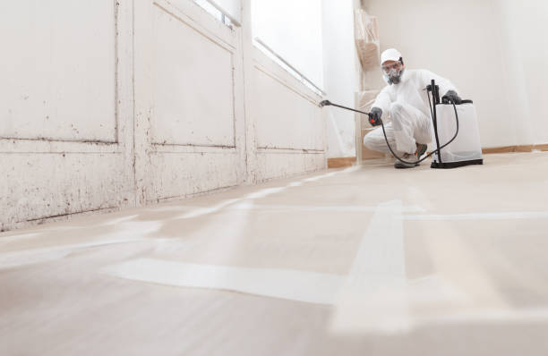 Trusted Mold Inspection service in Blackwood, NJ - WQB Mold Removal