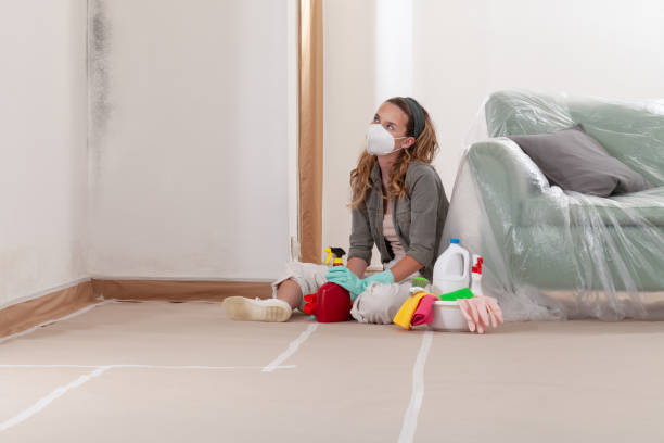 Reliable Mold Inspection contractor in Blackwood, NJ by WQB Mold Removal